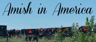 Amish In America